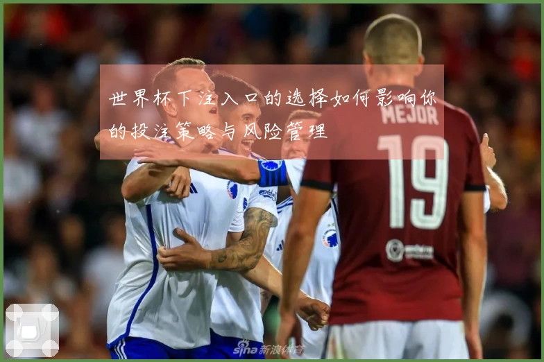 世界杯下注入口的选择如何影响你的投注策略与风险管理