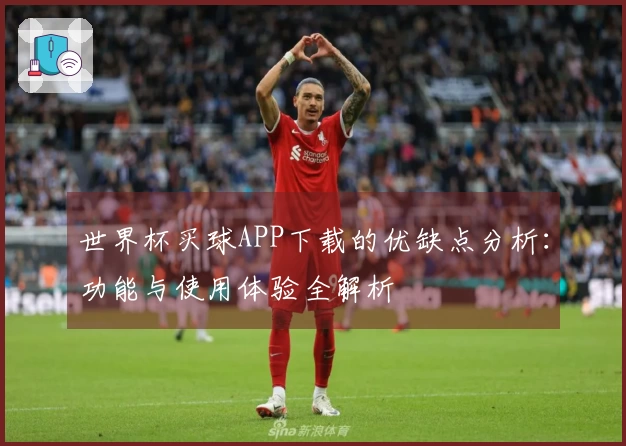 世界杯买球APP下载的优缺点分析：功能与使用体验全解析