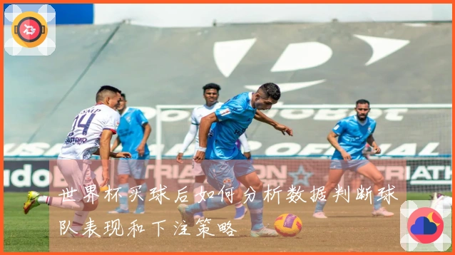 世界杯买球后如何分析数据判断球队表现和下注策略