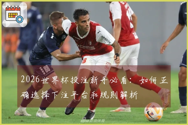 2026世界杯投注新手必看：如何正确选择下注平台和规则解析