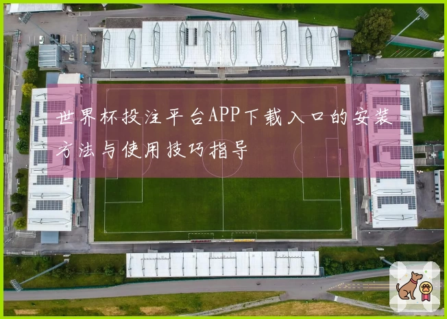 世界杯投注平台APP下载入口的安装方法与使用技巧指导