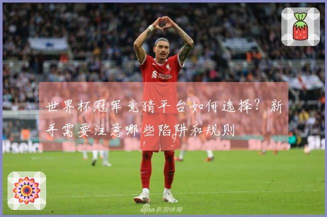 世界杯冠军竞猜平台如何选择？新手需要注意哪些陷阱和规则