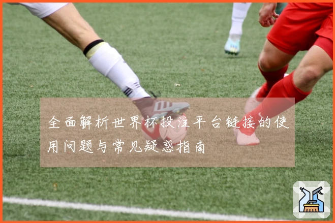 全面解析世界杯投注平台链接的使用问题与常见疑惑指南