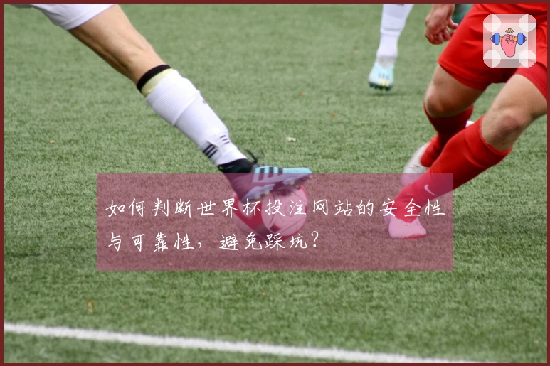 如何判断世界杯投注网站的安全性与可靠性，避免踩坑？