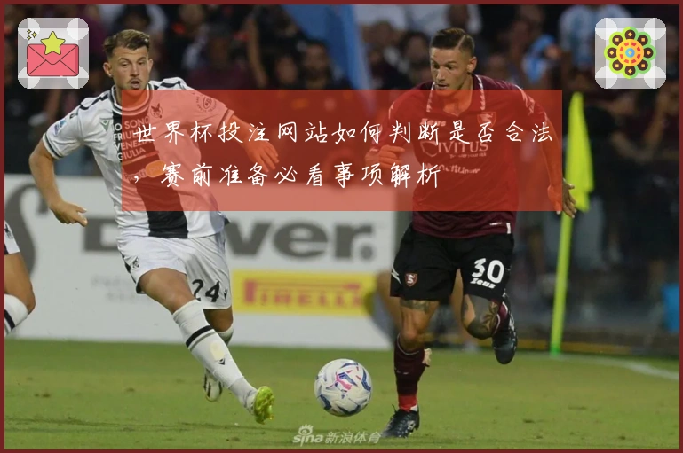 世界杯投注网站如何判断是否合法，赛前准备必看事项解析