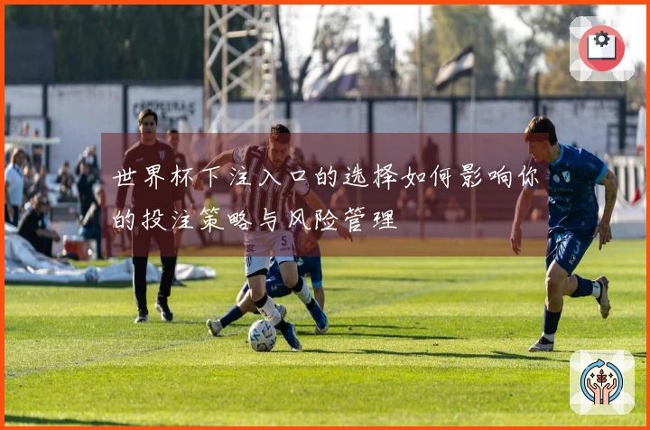 世界杯下注入口的选择如何影响你的投注策略与风险管理