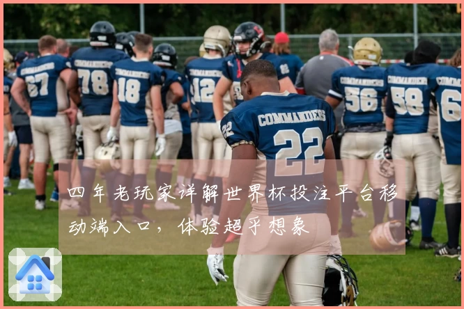 四年老玩家详解世界杯投注平台移动端入口，体验超乎想象