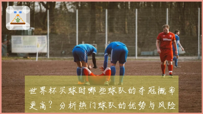 世界杯买球时哪些球队的夺冠概率更高？分析热门球队的优势与风险