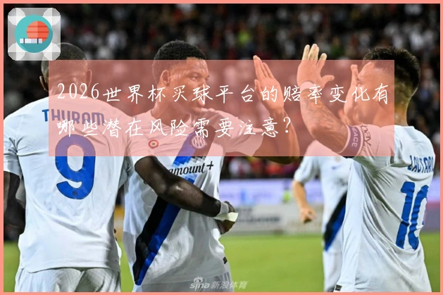 2026世界杯买球平台的赔率变化有哪些潜在风险需要注意？