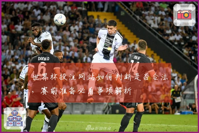 世界杯投注网站如何判断是否合法，赛前准备必看事项解析