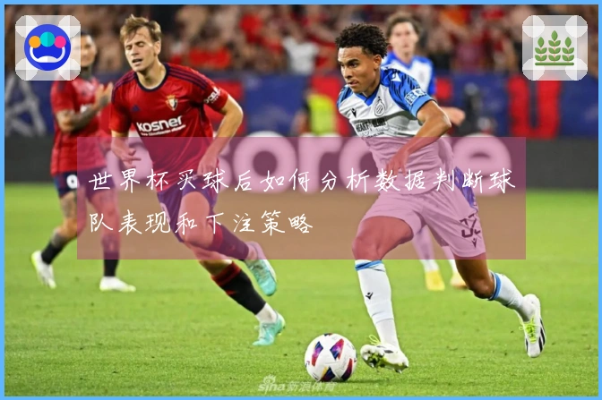 世界杯买球后如何分析数据判断球队表现和下注策略