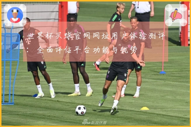 世界杯买球官网网址用户体验测评：全面评估平台功能与优势